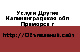 Услуги Другие. Калининградская обл.,Приморск г.